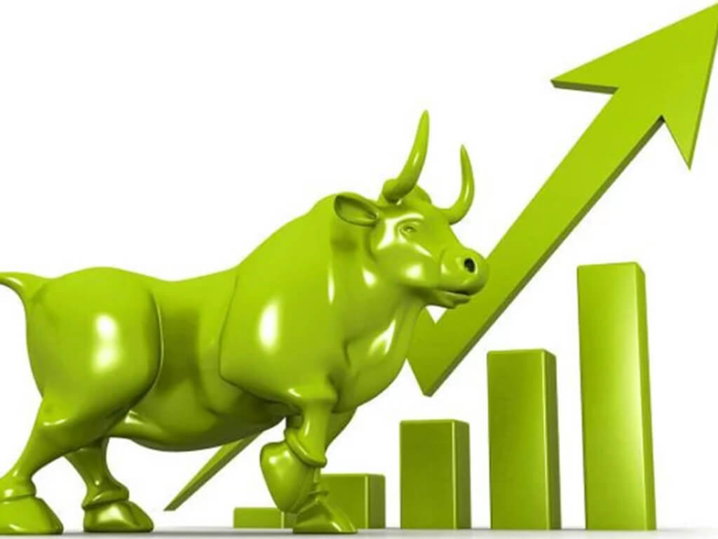सेयर बजारमा उत्साह